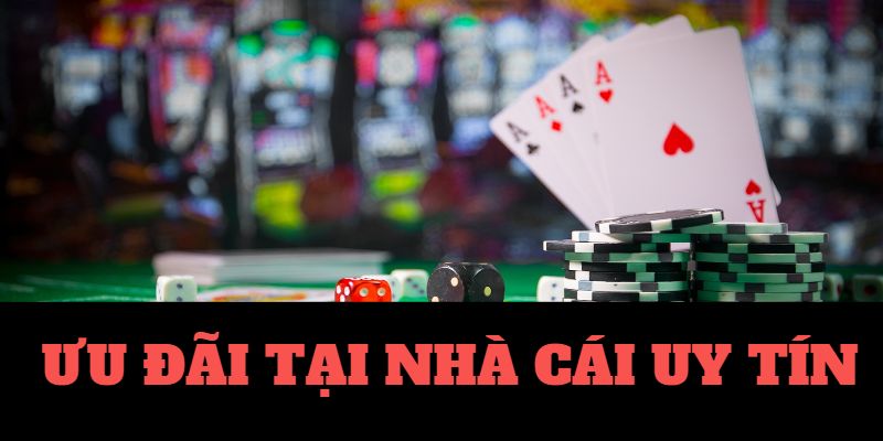 12fun-Bắt đầu hành trình với trang cược xanh chín ngay bây giờ! 12fun-Bắt đầu hành trình với trang cược xanh chín ngay bây giờ!
